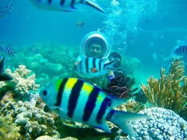 Nha Trang Speedboat Tour To Pearl Bay Included Mud Bath